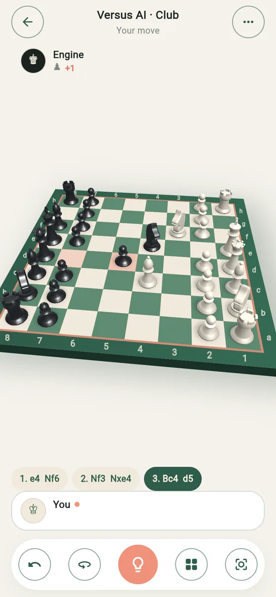 The board from a low angle