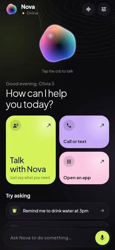 Home: talk with Nova or try a suggestion